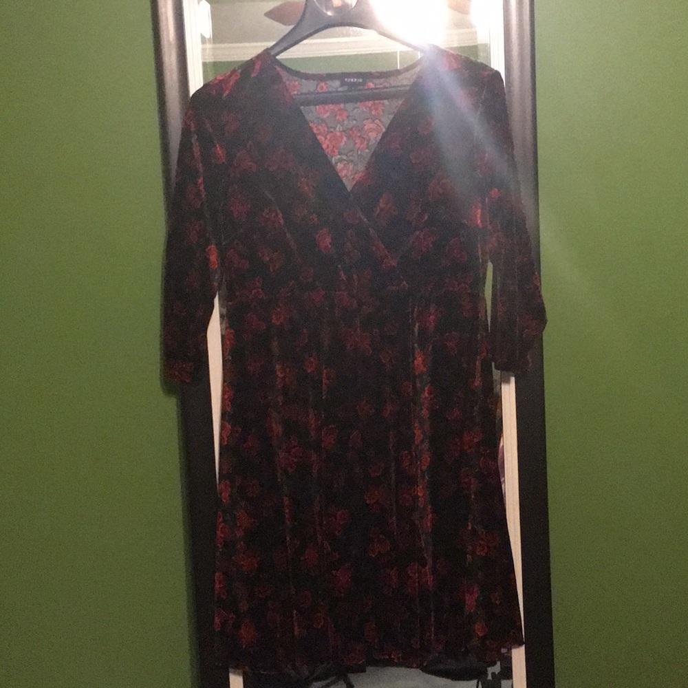 Velvet Rose Dress